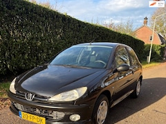 Peugeot 206 - 1.4 XS 80000 km NAP aanwezig
