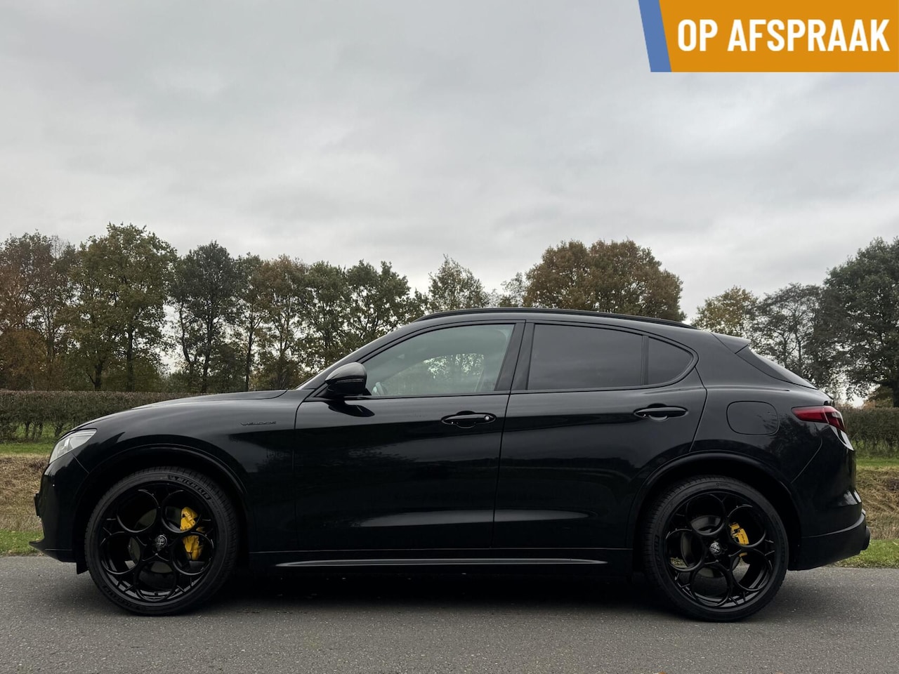 Alfa Romeo Stelvio - 2.0 T Q4 Veloce my21!!, 63dkm, 21 inch Q - AutoWereld.nl