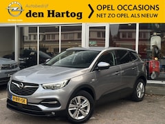 Opel Grandland X - 1.2 Turbo Online Edition AGR Stoelen Apple Carplay/Android Auto/Winterpakket