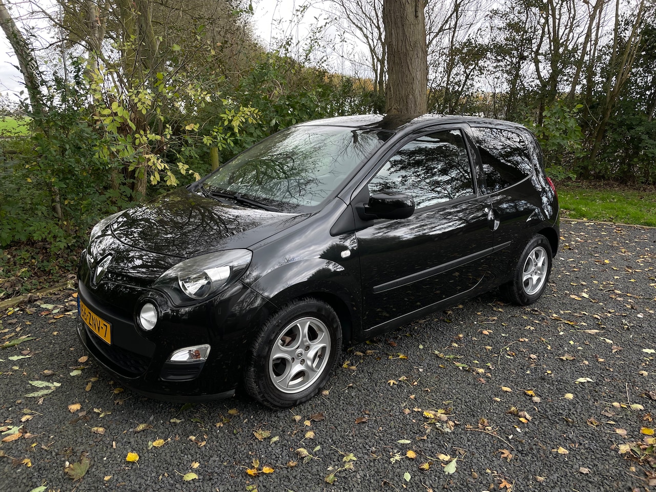 Renault Twingo - 1.2-16V Collection Unieke km-stand | Cruise control | NL-auto | Trekhaak - AutoWereld.nl