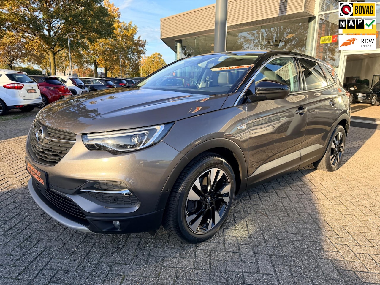 Opel Grandland X - 1.6 Turbo Hybrid Business Elegance 1.6 Turbo Hybrid Business Elegance, Automaat, Navi, Camera, Clima, etc. - AutoWereld.nl
