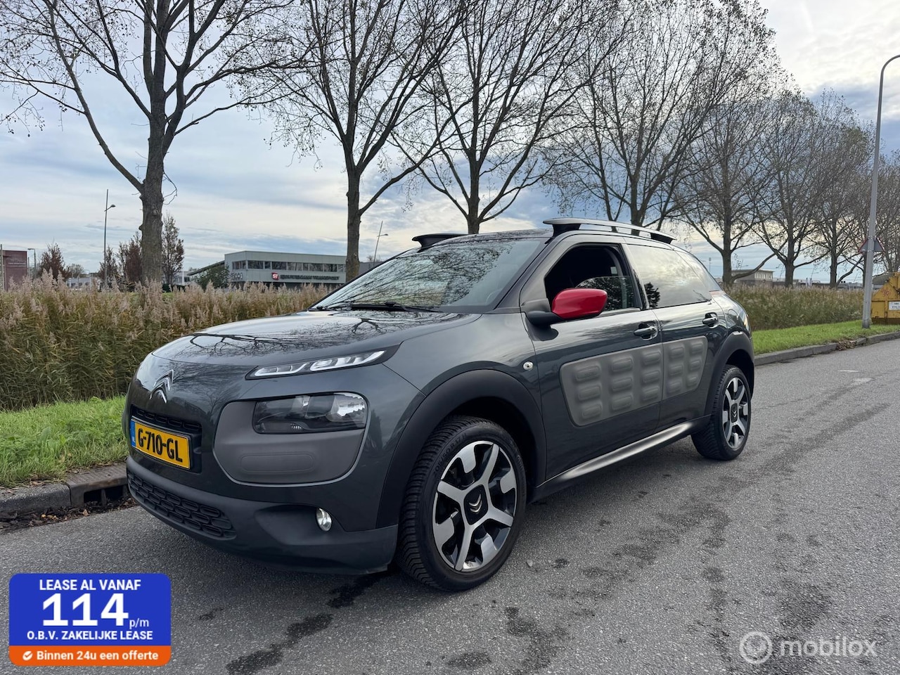 Citroën C4 Cactus - 1.2 PureTech Business Plus 1.2 PureTech Business Plus - AutoWereld.nl