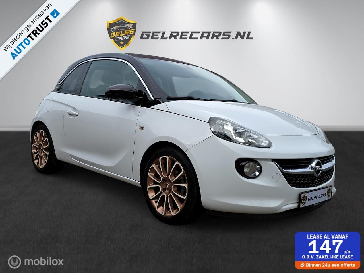 Opel ADAM - 1.4 Bi-Fuel Jam Open Dak Topstaat Vol!!!! - AutoWereld.nl