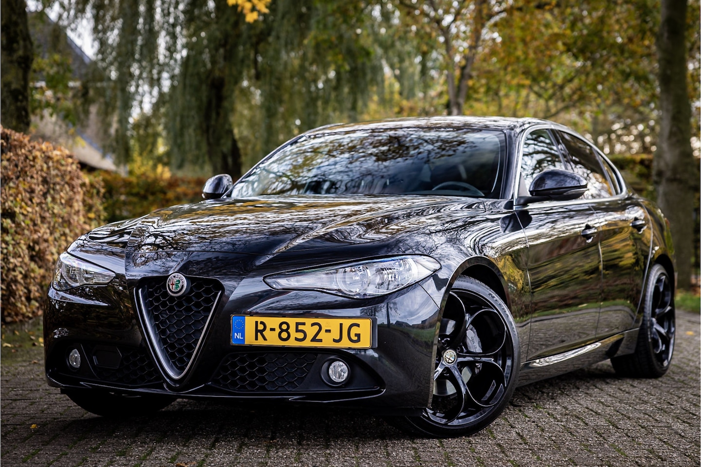 Alfa Romeo Giulia - 2.0T 300 PK Squadra 19" - AutoWereld.nl