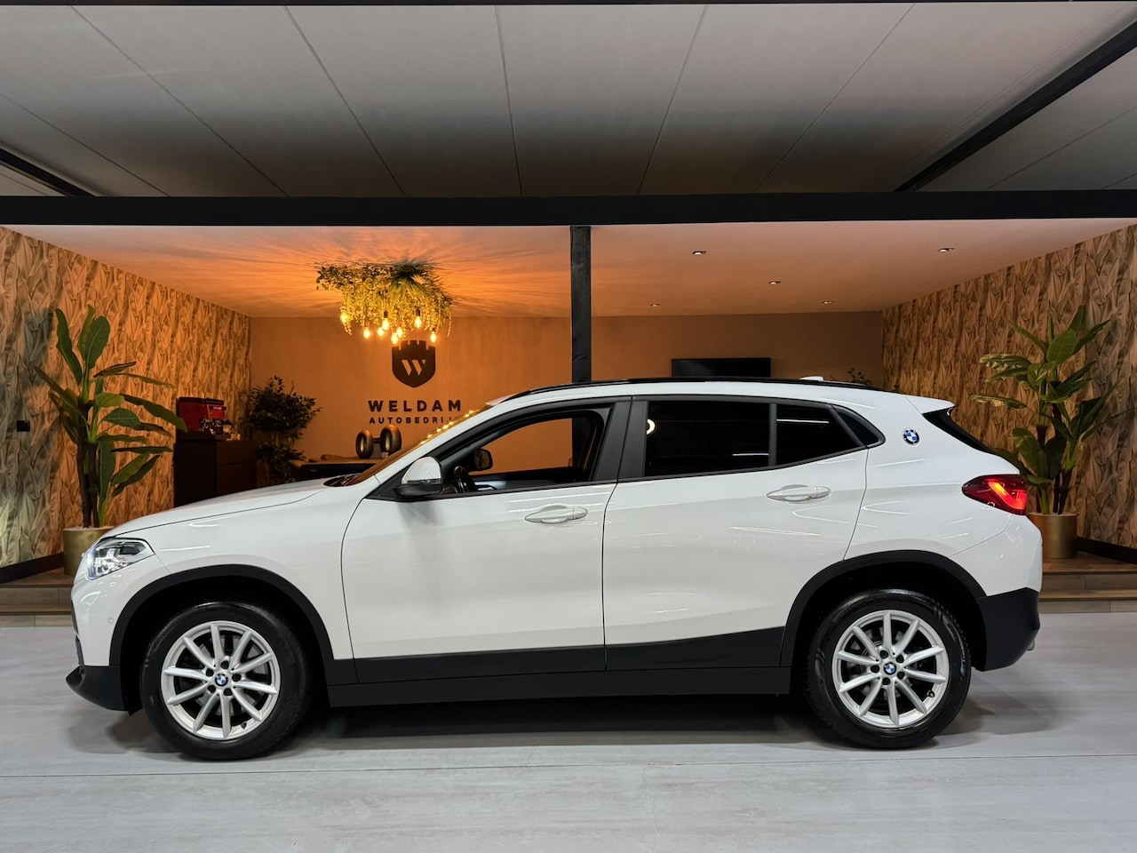 BMW X2 - XDrive20i Executive Garantie Camera Elek Achterklep StoelVW Cruise Navi Clima Led Rijklaar - AutoWereld.nl