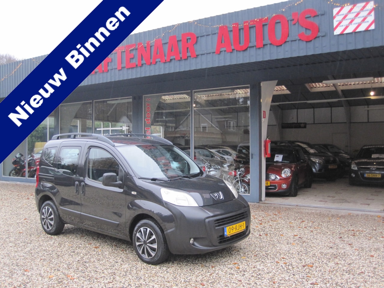 Peugeot Bipper Tepee - 1.4i zeer mooi km 89311 mat nap apk 28-06-2026 - AutoWereld.nl