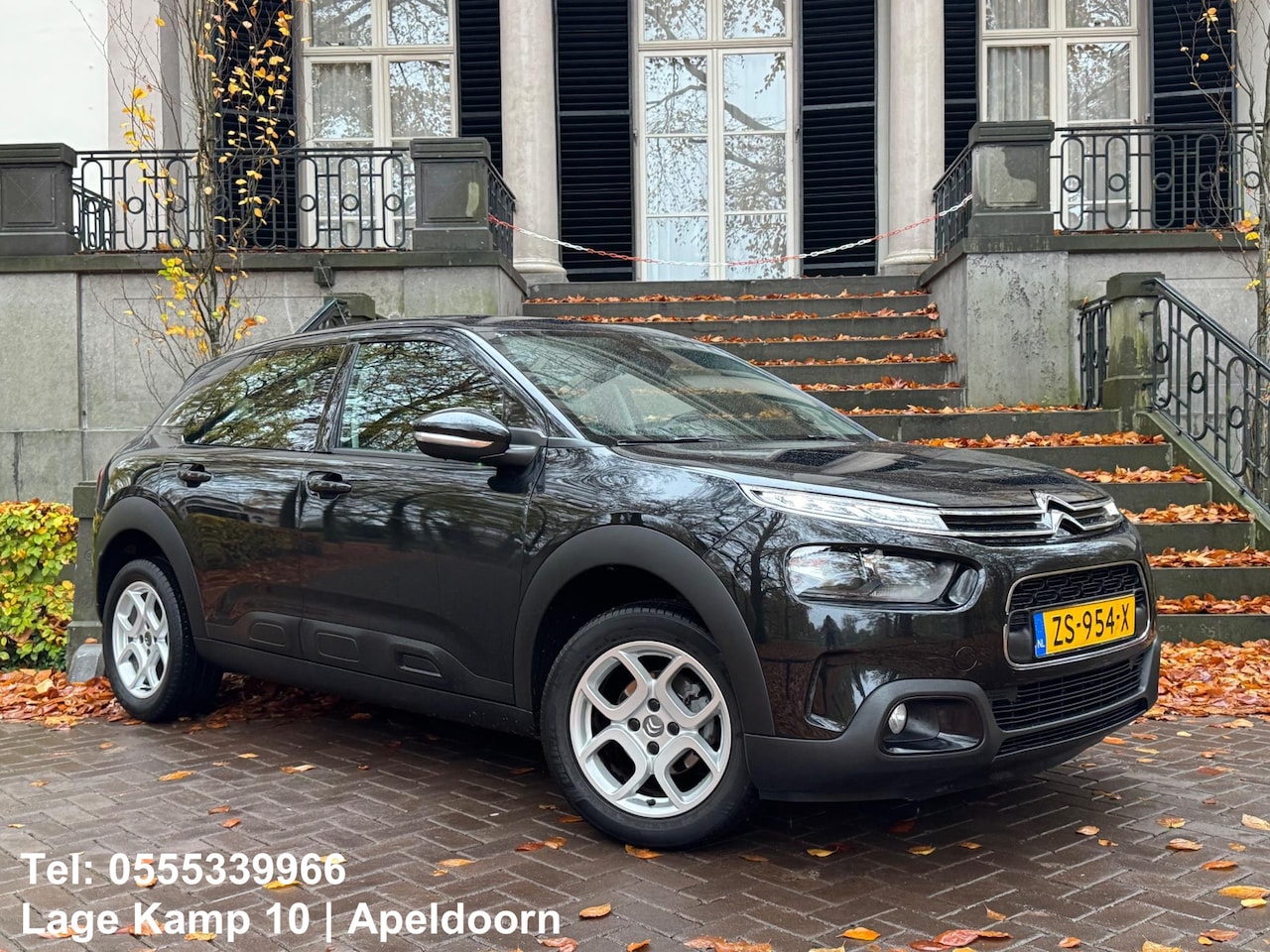 Citroën C4 Cactus - 1.2 PureTech Business CarPlay/Navi Climate Cruise Ctr Pdc NAP - AutoWereld.nl