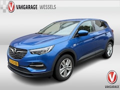 Opel Grandland X - 1.2 Turbo Online Edition | Trekhaak | PDC A | LM | Clima |