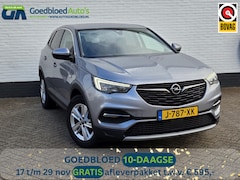 Opel Grandland X - 130 PK Turbo Business Executive | Stoel/Stuurverwarming | Comfor