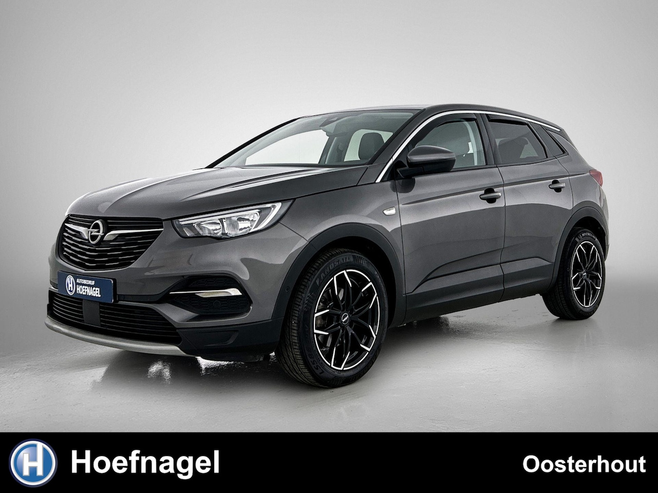 Opel Grandland X - 1.2 Turbo Business Executive Automaat | Trekhaak | Apple CarPlay | Blind Spot Warning | Pa - AutoWereld.nl