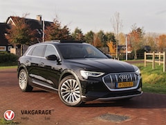 Audi e-tron - e-tron 55 quattro advanced 95 kWh | S-line | Panoramadak | Bang & Olufsen | Camera | Apple
