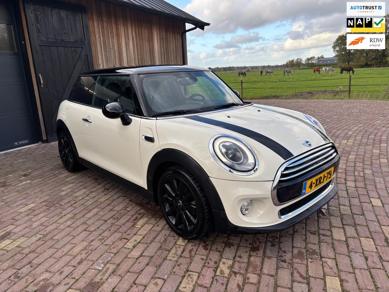 MINI Cooper - Mini 1.5 First Born Edition,NAVIGATIE , SPORTSTOELEN , LED , CRUISE - AutoWereld.nl