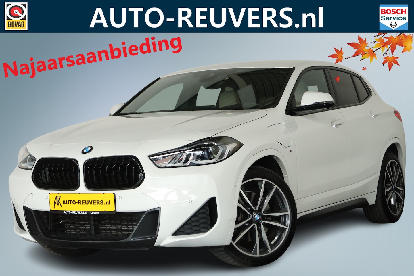 BMW X2 - xDrive25e M-Sport / Leder / HUD / Pilot assist / Memory - AutoWereld.nl