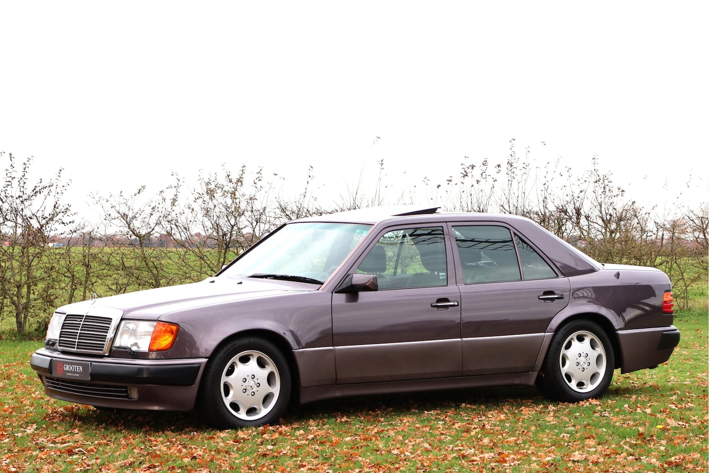 Mercedes-Benz 200-500 (W124) - 500 E - W124 - Karo - Bornit Metallic - AutoWereld.nl
