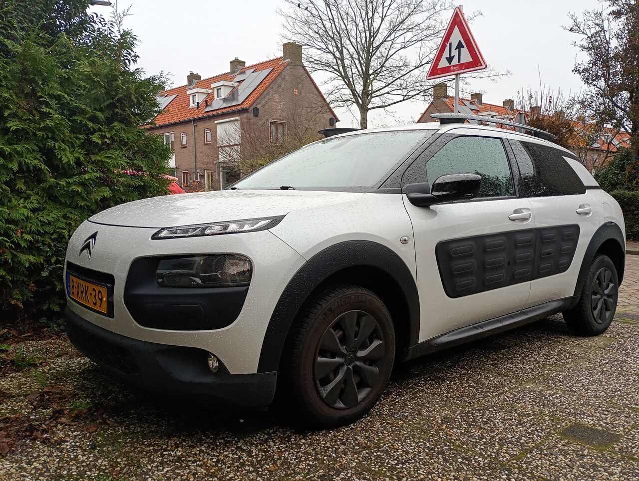 Citroën C4 Cactus - 1.6 BlueHDi Shine unieke kleur - AutoWereld.nl