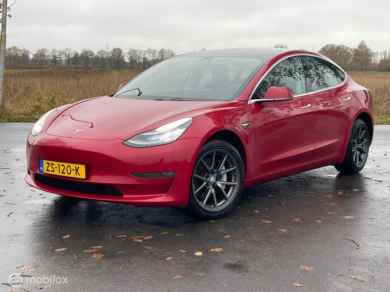 Tesla Model 3 - Standard Plaid RWD Plus - AutoWereld.nl
