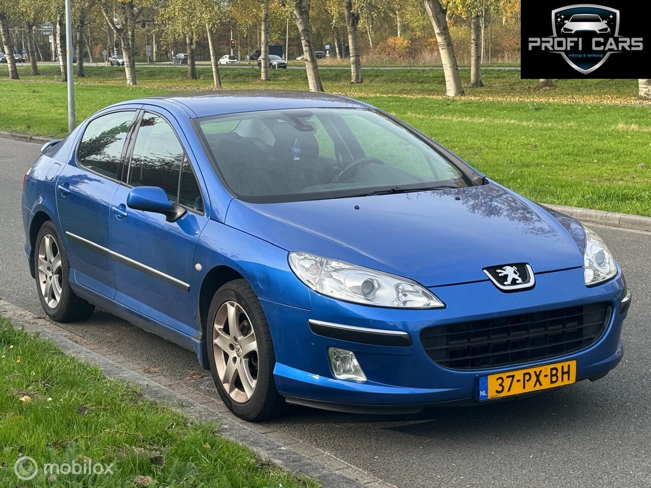 Peugeot 407 - 2.0-16V XS Pack Airco Navi Trekhaak - AutoWereld.nl