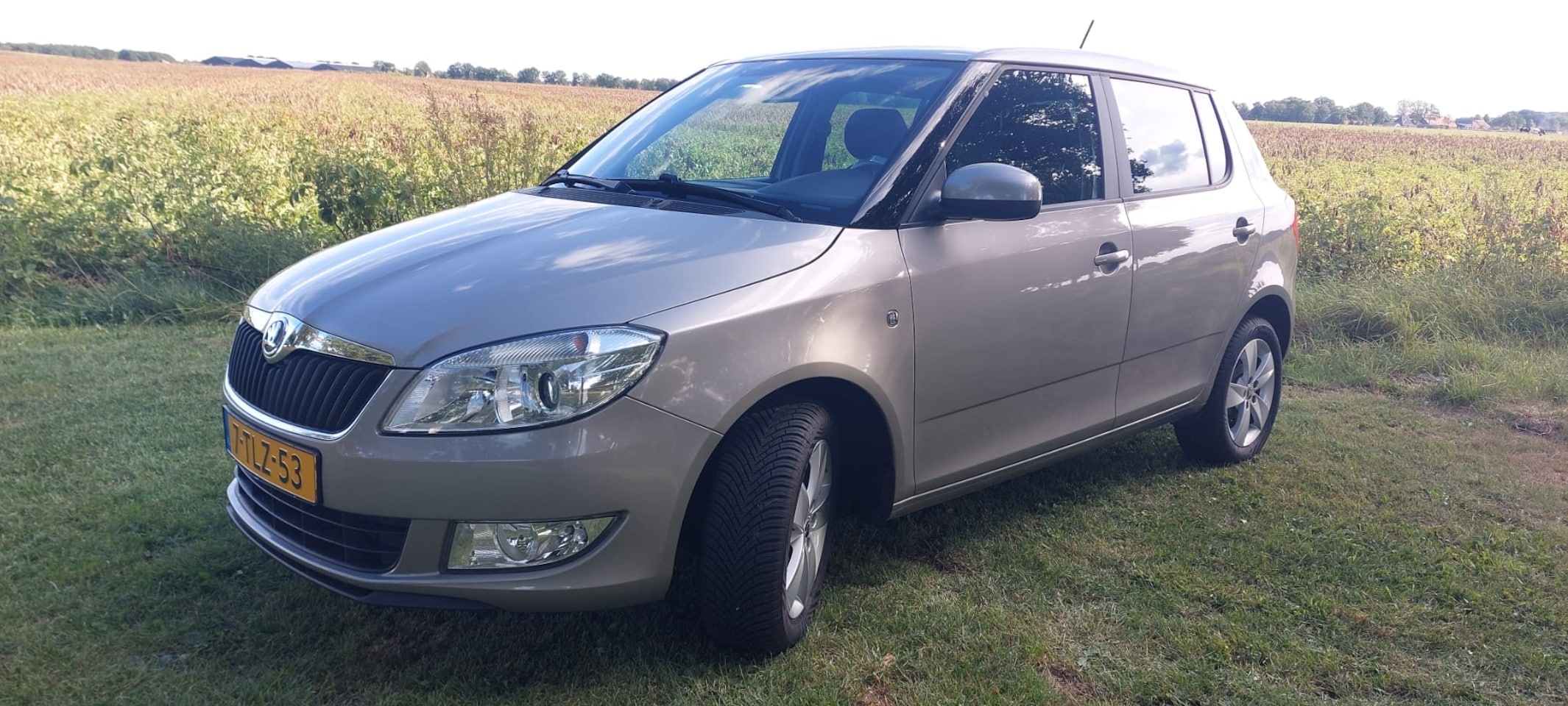 Skoda Fabia - 1.2 TSI Drive - AutoWereld.nl