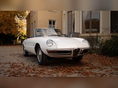 Alfa Romeo Spider - Duetto Spider 1600 Pininfarina