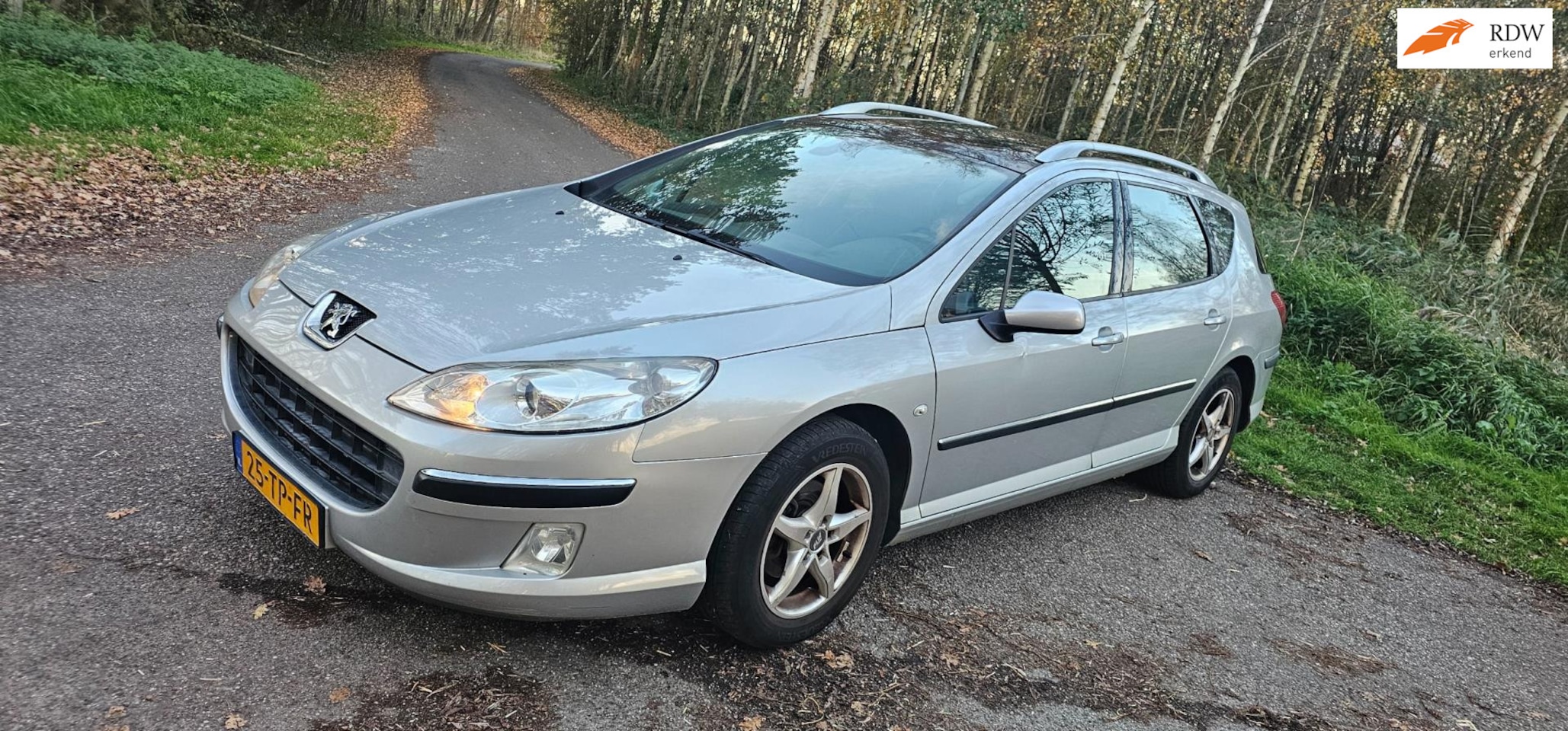 Peugeot 407 SW - 1.8-16V XR Pack 1.8-16V XR Pack - AutoWereld.nl