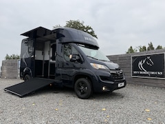 Opel Movano - PAARDENWAGEN AKX 3XL | HENGST | 12.800KM | 2023 | LEER | B-RIJBEWIJS | NL KENTEKEN