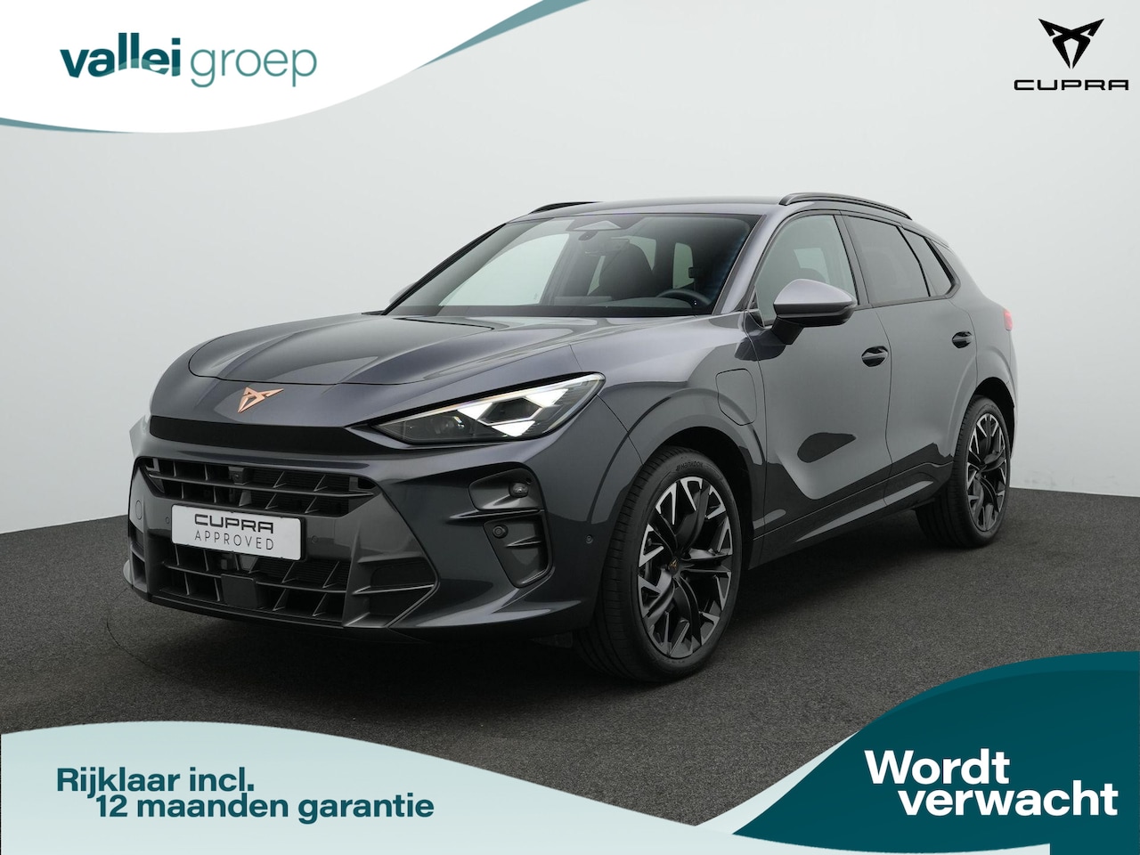 CUPRA Terramar - 1.5 TSI e-Hybrid 204 pk DSG Business | Sennheiser | Leder/Suede | Geheugenstoel | Rondomzi - AutoWereld.nl