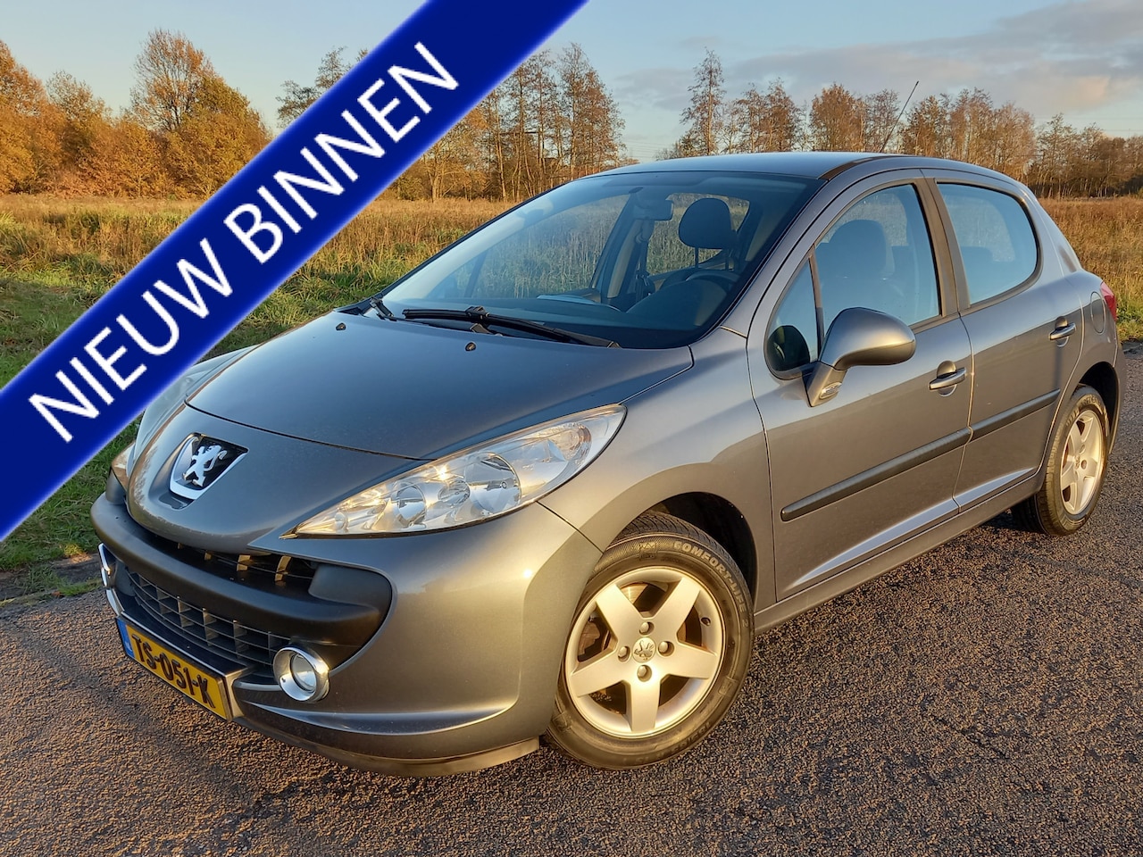 Peugeot 207 - 1.4 VTi Sublime 1.4 VTi Sublime - AutoWereld.nl