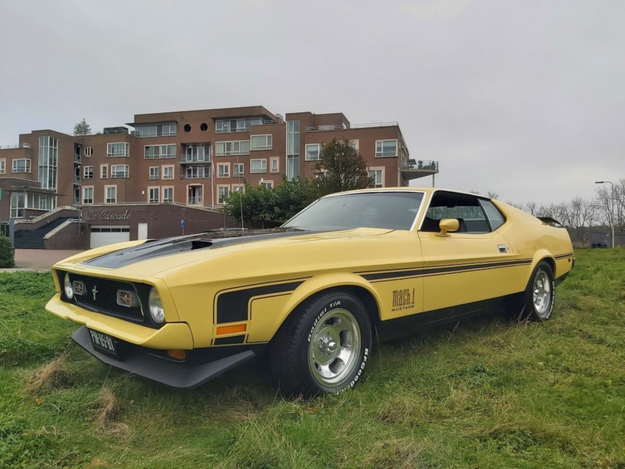 Ford Mustang - mach1 - AutoWereld.nl
