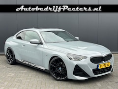 BMW 2-Serie - Coupe 220i M Sport Shadow S.dak Leder LED Sfeerlicht L-Cockpit NL-auto