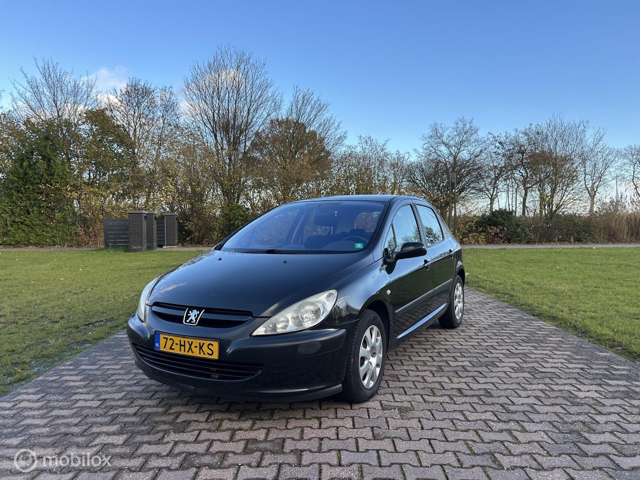 Peugeot 307 - 1.4 XS 1.4 XS - AutoWereld.nl