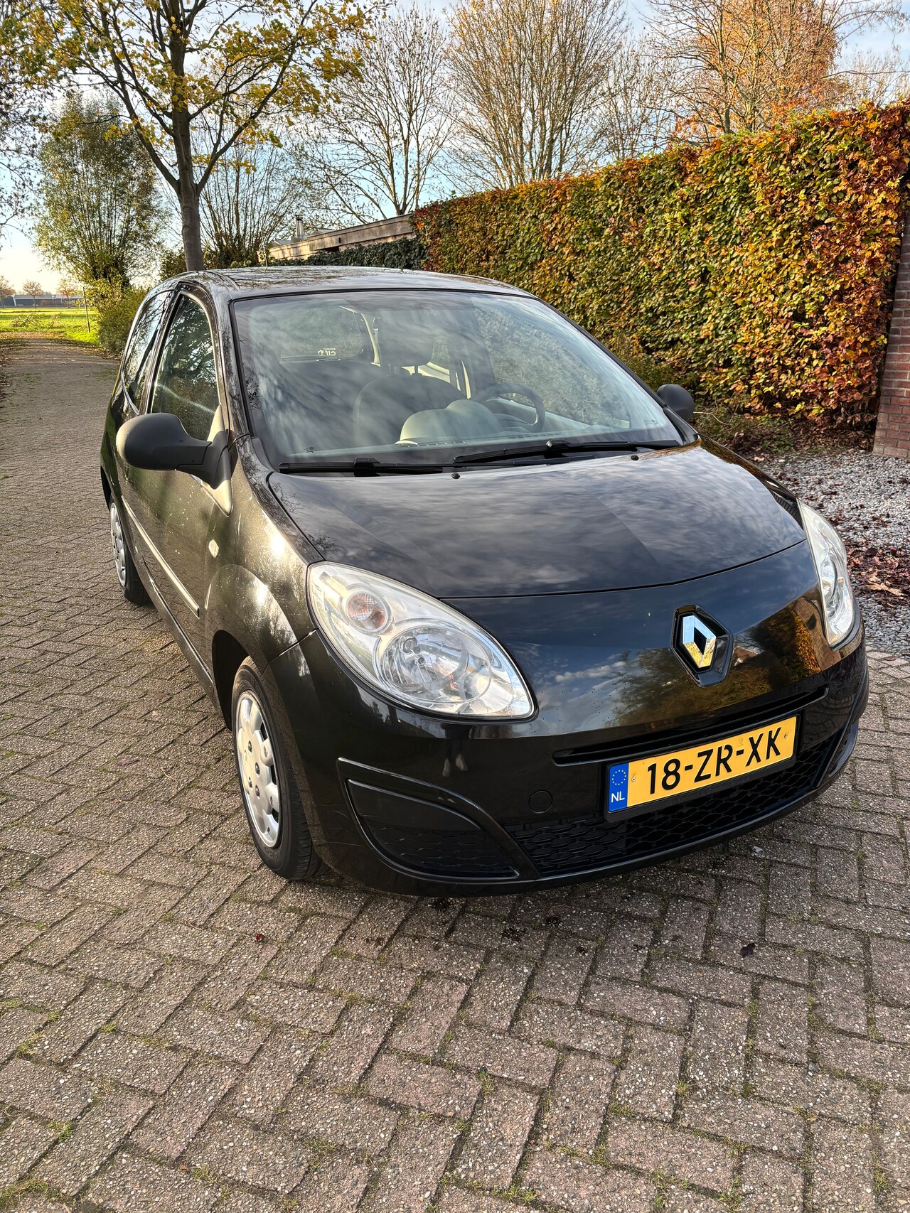 Renault Twingo - 1.2 Authentique - AutoWereld.nl