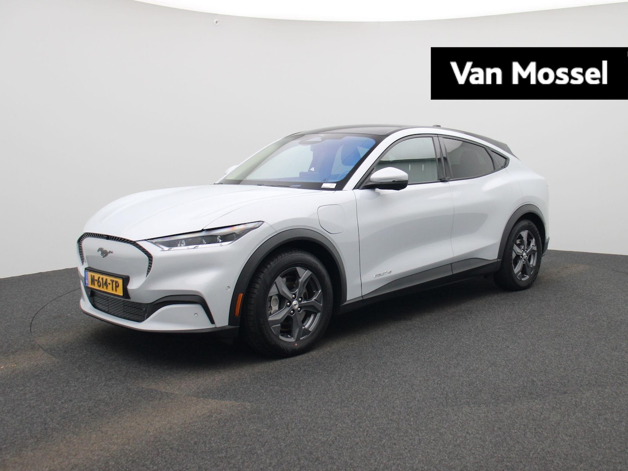 Ford Mustang Mach-E - RWD 75 kWh | ANDROID AUTO | ADAPTIEVE CRUISE | PANORAMADAK | - AutoWereld.nl