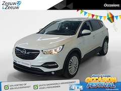 Opel Grandland X - 1.2 Turbo Online Edition *Navi+Camera*Climate Control*Cruise Control*Carplay*L.M. Velgen*Z