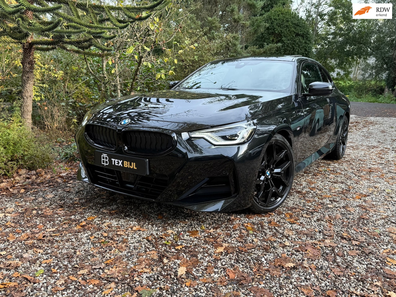 BMW 2-serie Coupé - 220i M-sport|Pano|Hud|Carplay|H&K|etc. - AutoWereld.nl