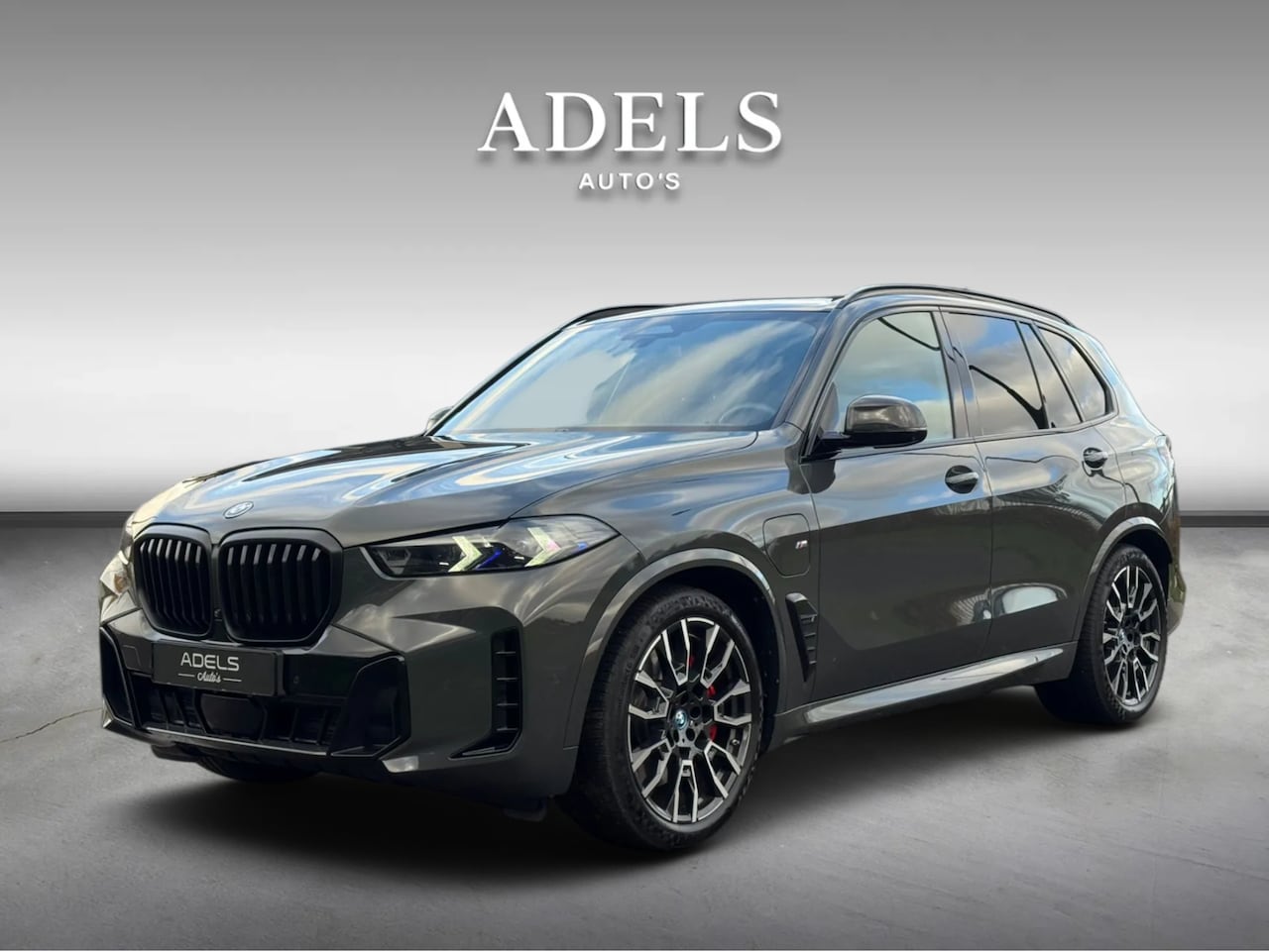 BMW X5 - xDrive50e M Sport Pro Dravitgrau Panodak Harman Kardon Carbon Trekhaak Dealer Onderhouden - AutoWereld.nl