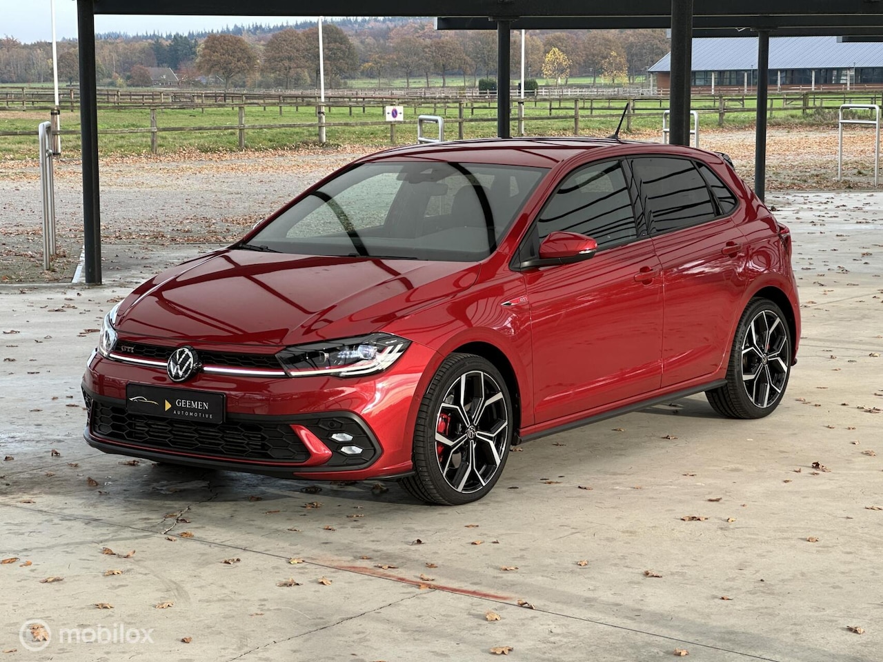 Volkswagen Polo - 2.0 TSI GTI MATRIX/ALCANTARA/KEYLESS/18INCH - AutoWereld.nl