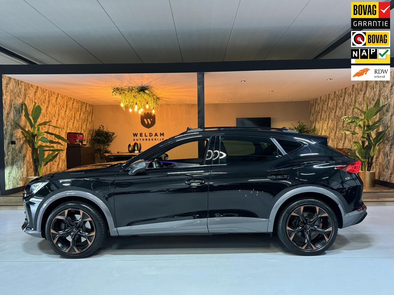 CUPRA Formentor - 1.4 e-Hybrid VZ Performance Garantie Pano Camera StuurVW StoelVW Sfeer ACC Clima Navi Lane - AutoWereld.nl