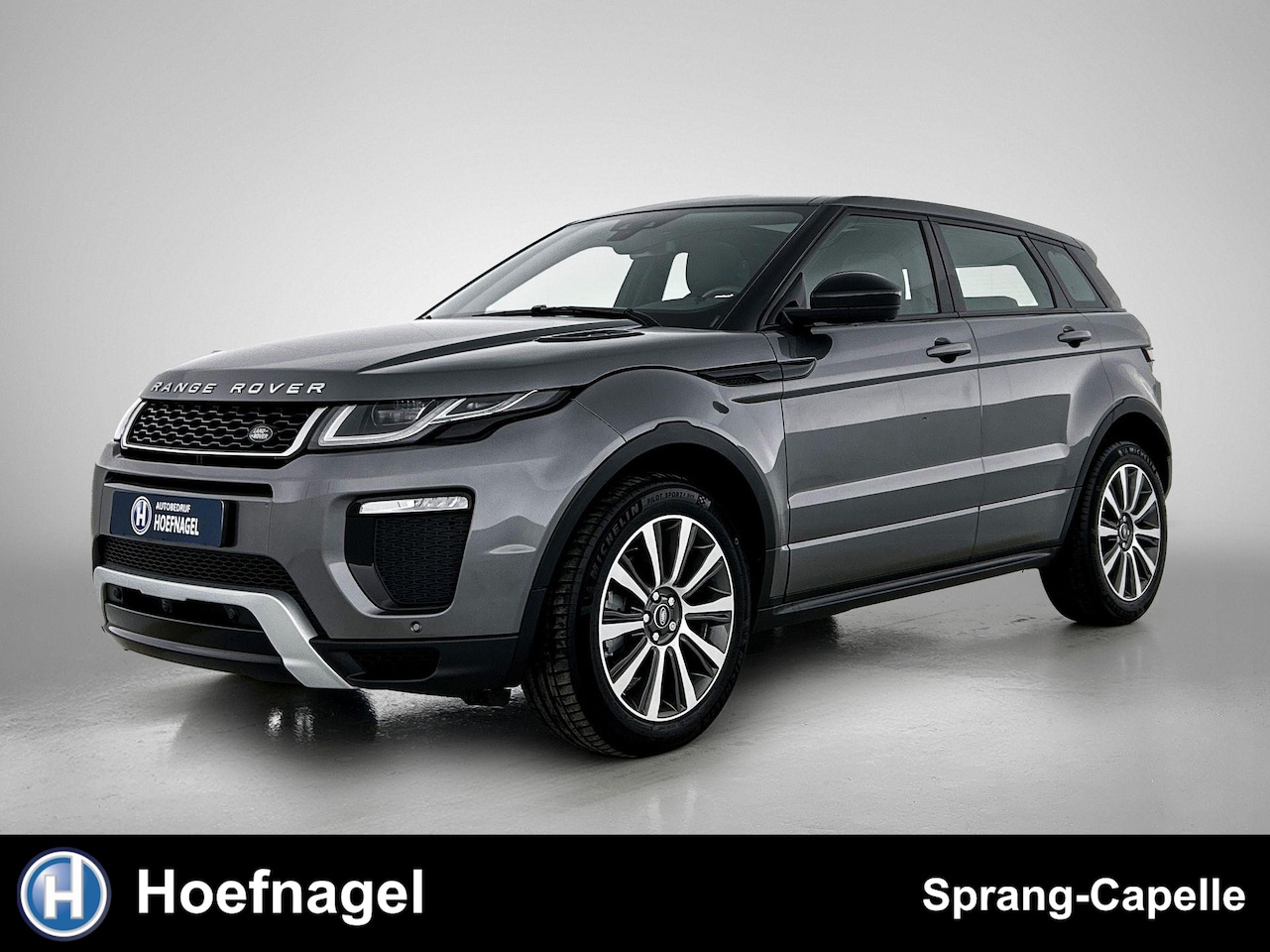 Land Rover Range Rover Evoque - 2.0 Si4 HSE Dynamic | Panoramadak | Camera | Meridian Sound | Leder | - AutoWereld.nl