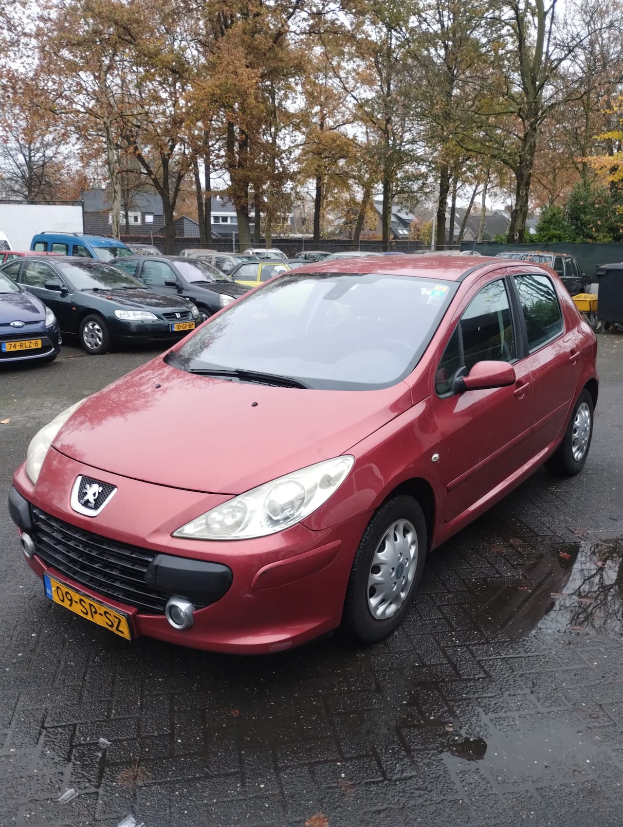 Peugeot 307 - 1.6-16V XS - AutoWereld.nl