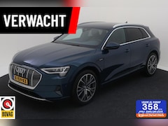 Audi e-tron - 55 quattro Business edition Plus 95 kWh