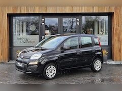 Fiat Panda - 1.2 Popstar