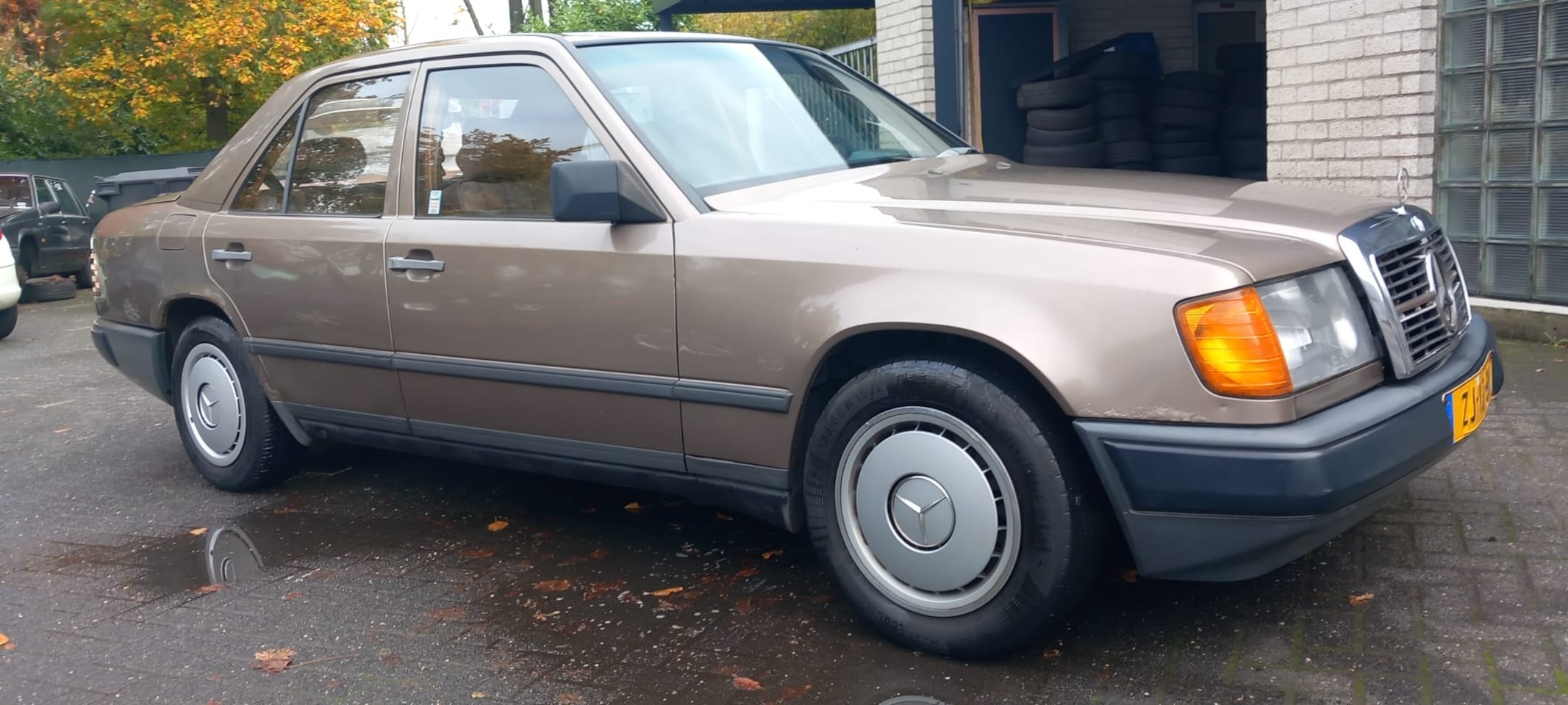 Mercedes-Benz 200-500 (W124) - 250 D
