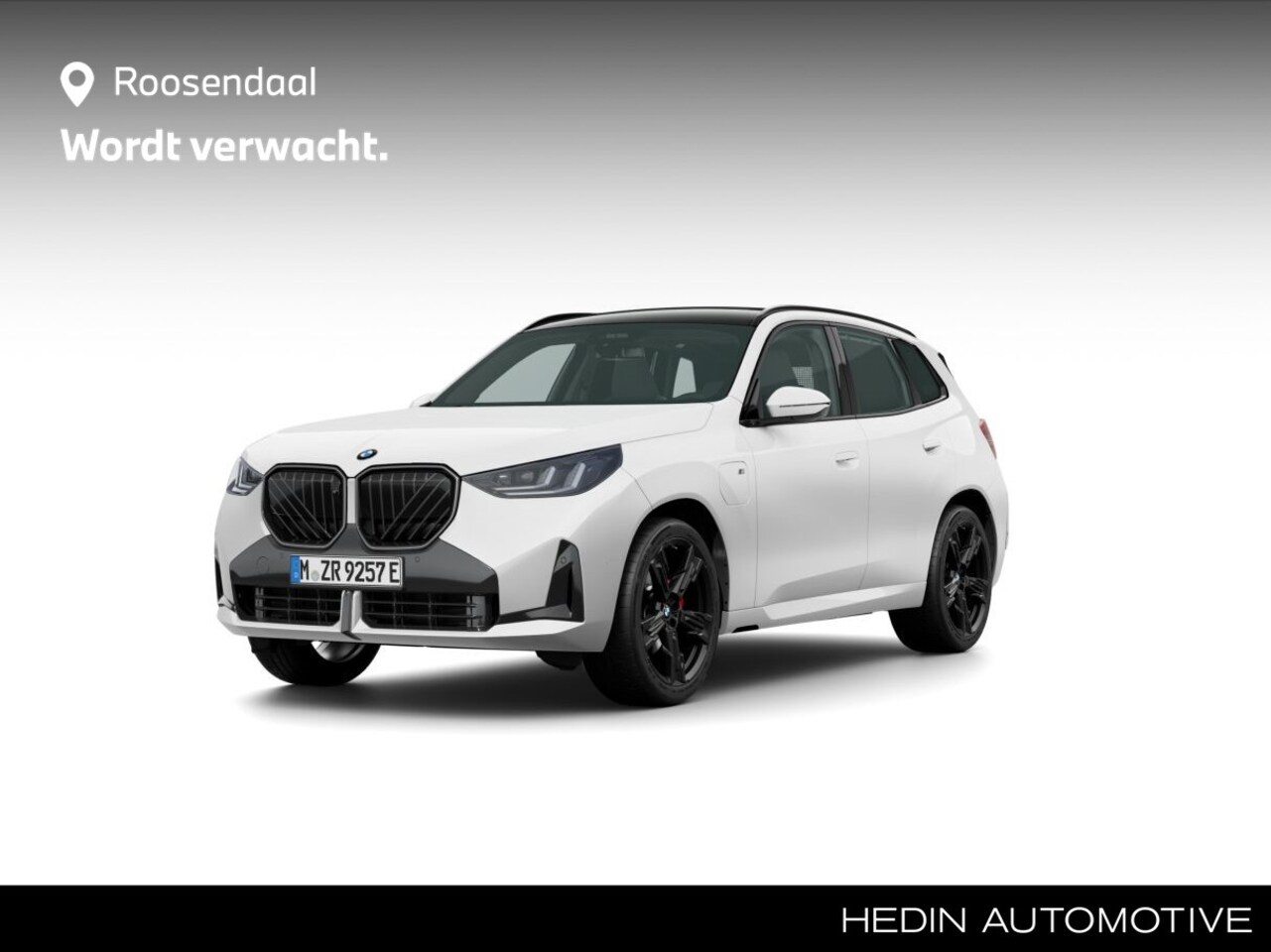 BMW X3 - 30e xDrive 30e xDrive - AutoWereld.nl
