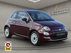 Fiat 500 - 1.0 Hybrid Dolcevita 2021 BORDEAUX | Apple CarPlay | Panoramadak