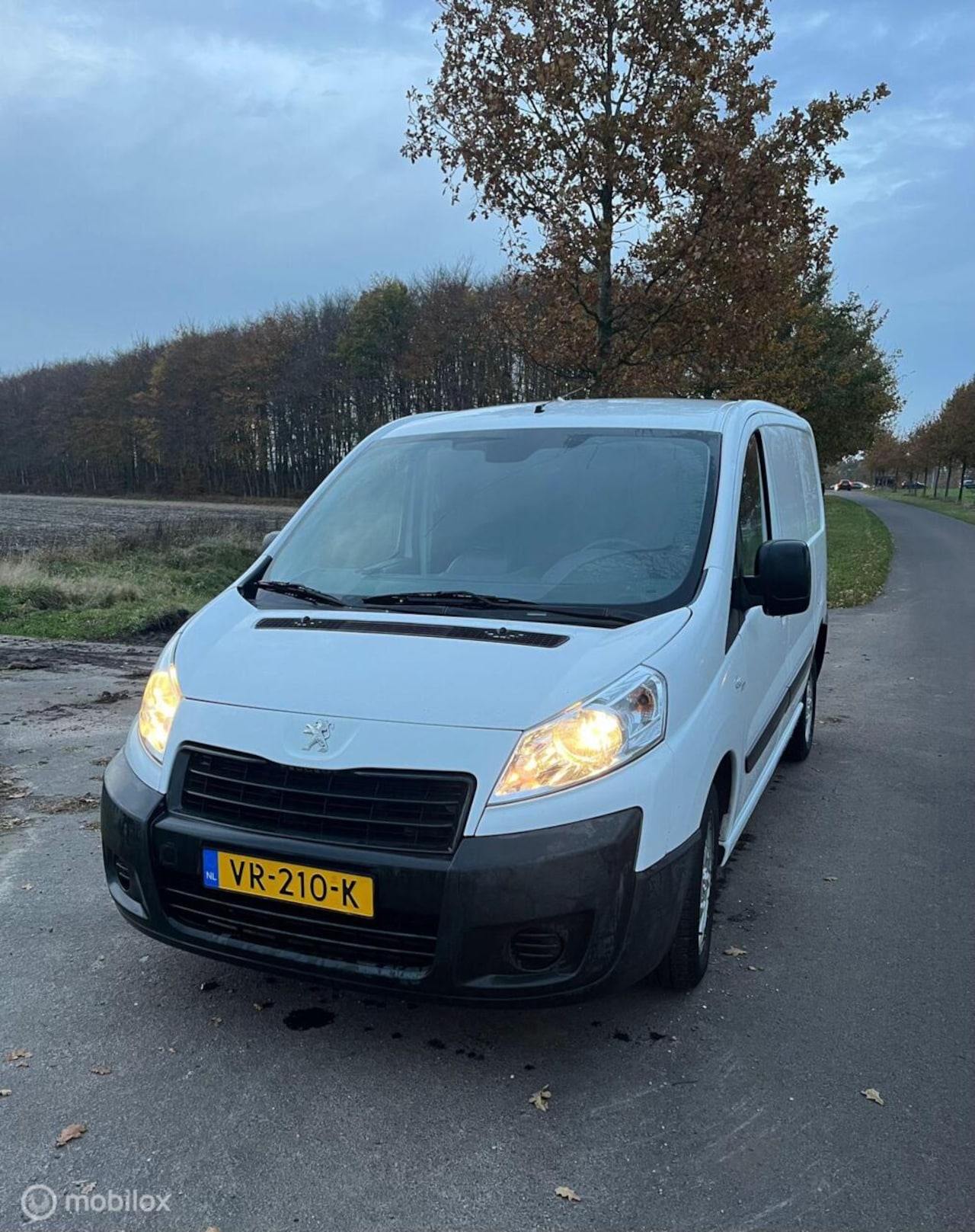 Peugeot Expert - Bestel 227 1.6 HDI L1H1 Pro - AutoWereld.nl