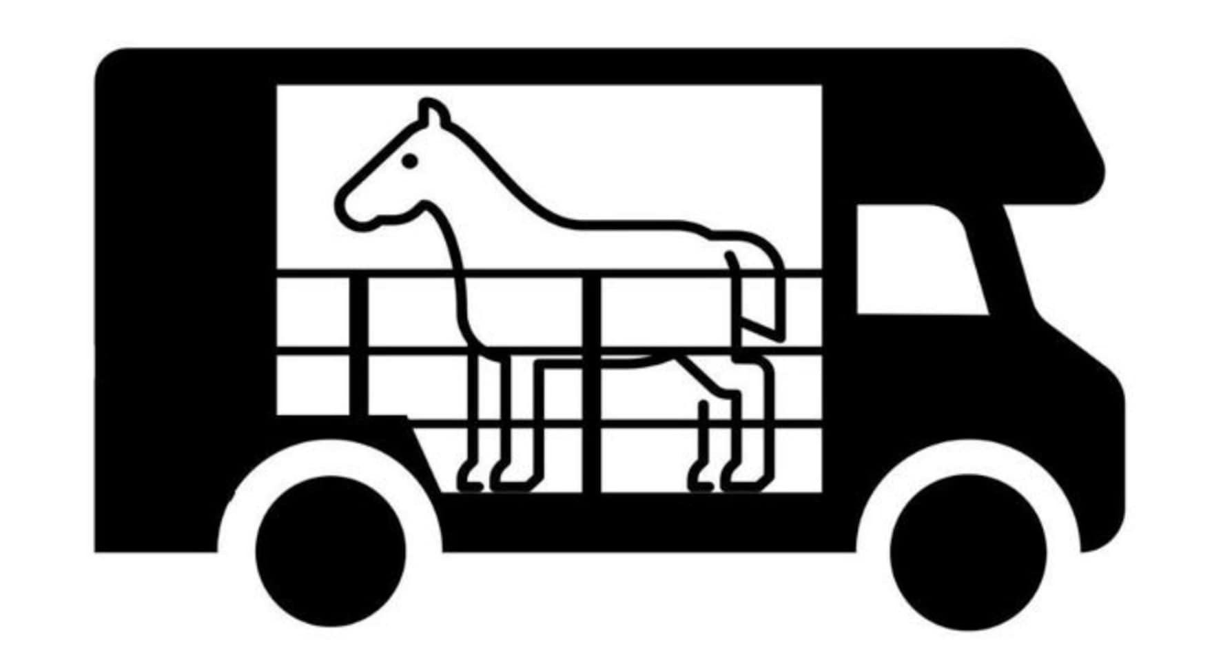 Renault Master - PAARDENWAGEN ROELOFSEN PARADOS 3XL | HENGST | 2016 | B-RIJBEWIJS - AutoWereld.nl