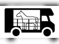 Renault Master - PAARDENWAGEN ROELOFSEN PARADOS 3XL | HENGST | 2016 | B-RIJBEWIJS | NL KENTEKEN