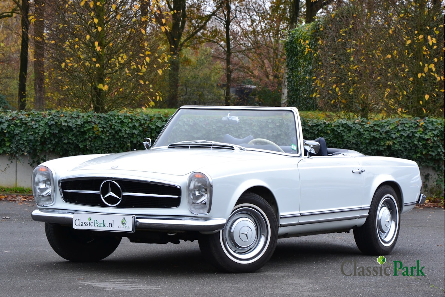 Mercedes-Benz 230 - SL Pagode - AutoWereld.nl