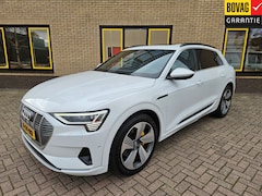 Audi e-tron - e-tron 55 quattro advanced Pro Line Plus 95 kWh