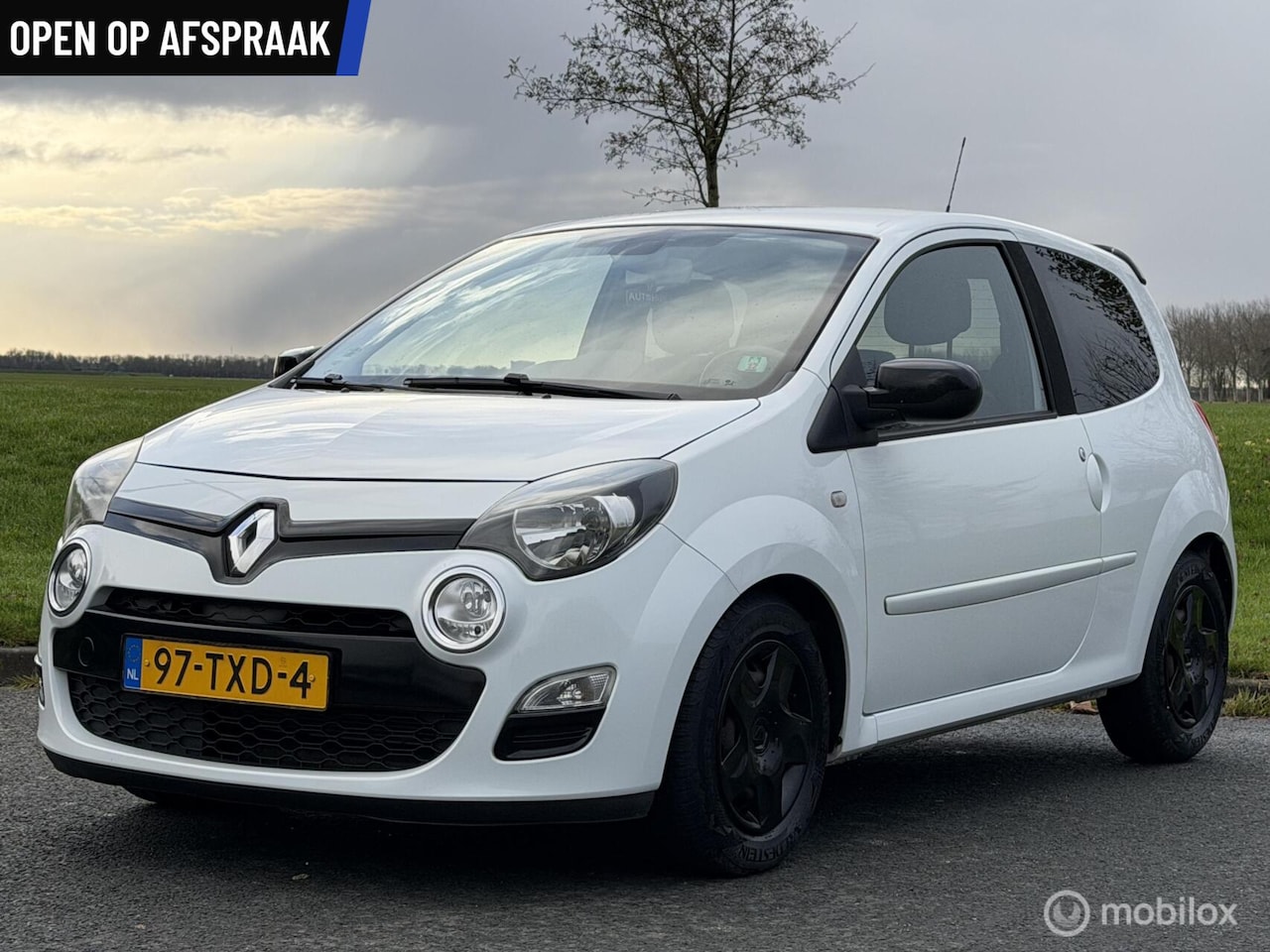 Renault Twingo - 1.2 16V | zeer luxe | NW APK - AutoWereld.nl